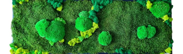 Euphoria Natura machová krajinka Santovka 2