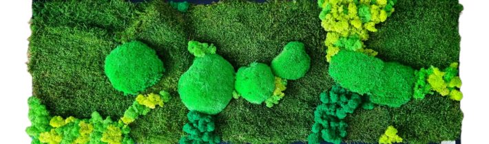 Euphoria Natura machová krajinka Santovka 3