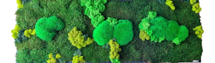 Euphoria Natura machová krajinka Santovka 9