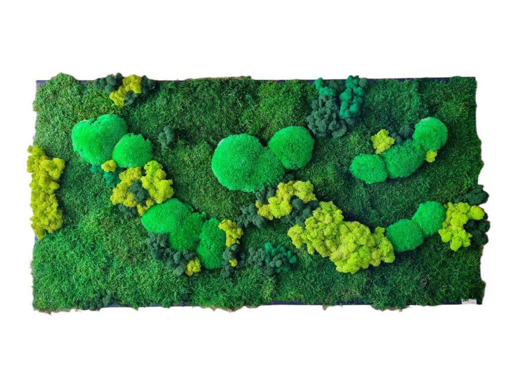 Machový obraz Senec 120x60cm, Machová krajinka Euphoria Natura. Kopčekový mach, plochý mach a lišajníky. Eufória