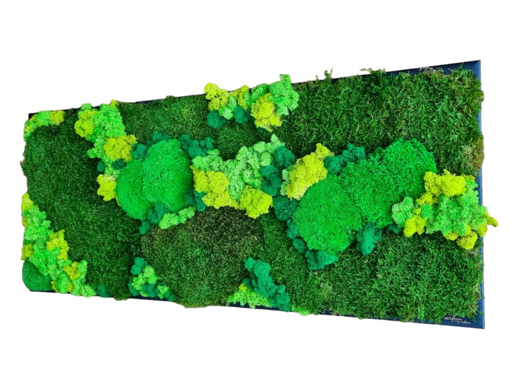 Machový obraz Senec, rozmer 100x40cm, Machová krajinka Euphoria Natura, čierny drevený rám. Eufória