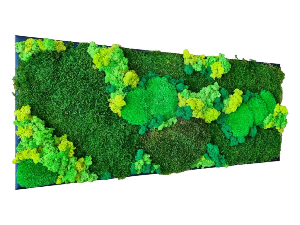 Machový obraz Senec, rozmer 100x40cm, Machová krajinka Euphoria Natura, čierny drevený rám. Eufória