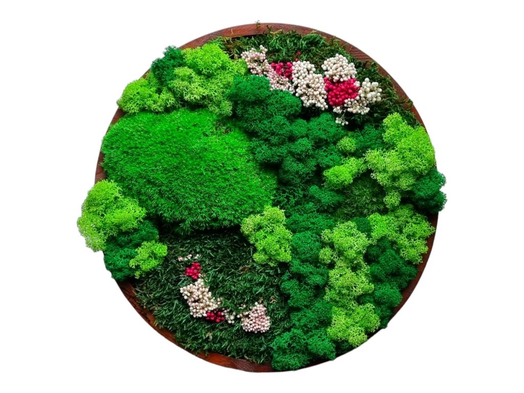 Machový obraz Senec, Machová krajinka a lúka plná kvetov Euphoria Natura. Kopčekový mach, plochý mach, lišajníky a stabilizované kvety. Drevený rám 30cm, farba dub.