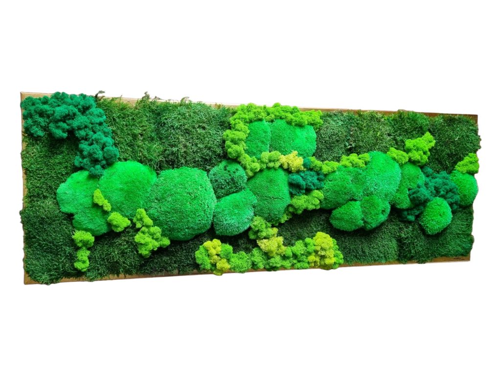 Machový obraz Bratislava, na objednávku, zlatý drevený rám, rozmer 120x40cm, Machová krajinka Euphoria Natura, Senec