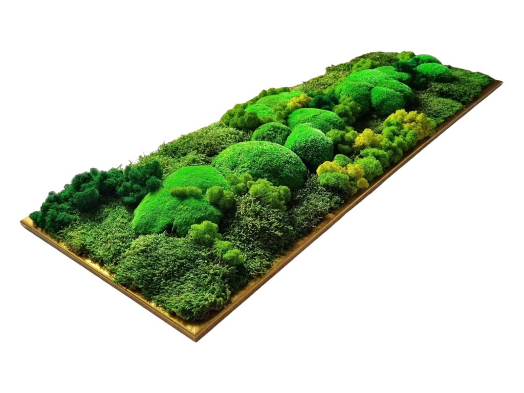 Machový obraz Bratislava, na objednávku, zlatý drevený rám, rozmer 120x40cm, pohľad zhora, Machová krajinka Euphoria Natura, Senec