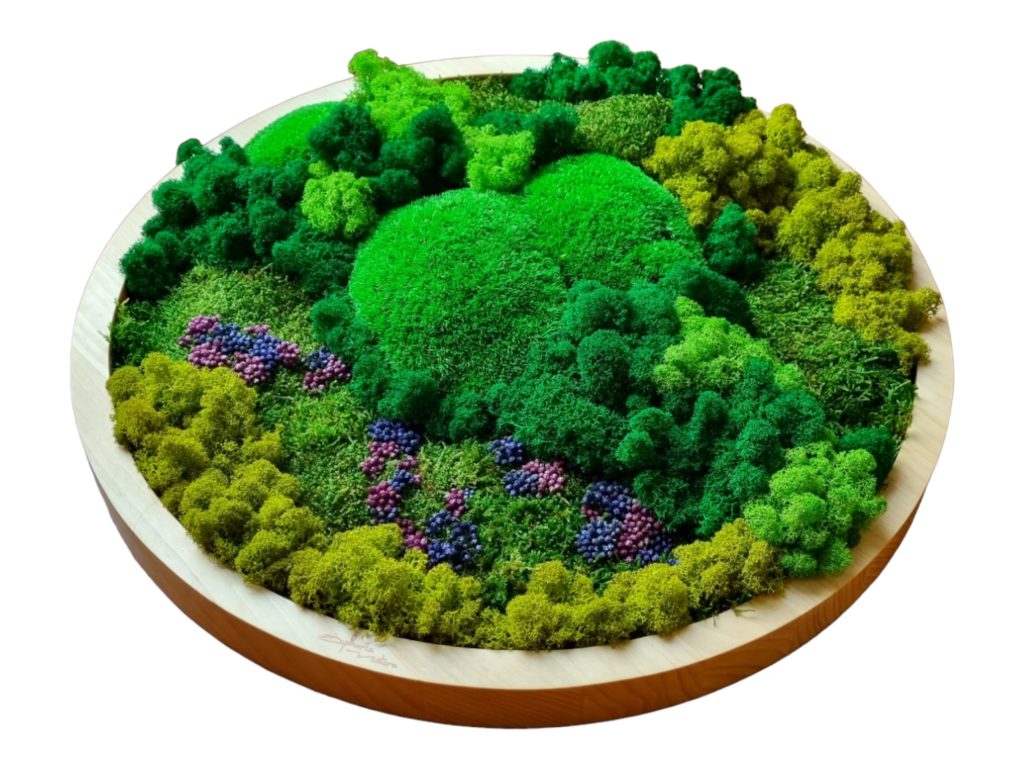 Machový obraz Bratislava, kruhový drevený rám, smrek, priemer 50cm, Machová krajinka a lúka plná kvetov, Euphoria Natura, Senec.
