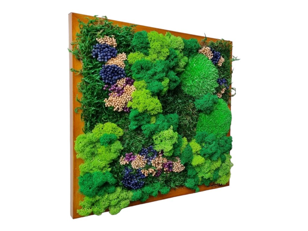 Machový obraz Pezinok, Machová krajinka a lúka plná kvetov Euphoria Natura. Kopčekový mach, plochý mach, lišajníky a stabilizované kvety. Drevený rám 30x30cm, farba dub, #obrazzmachu #pezinok