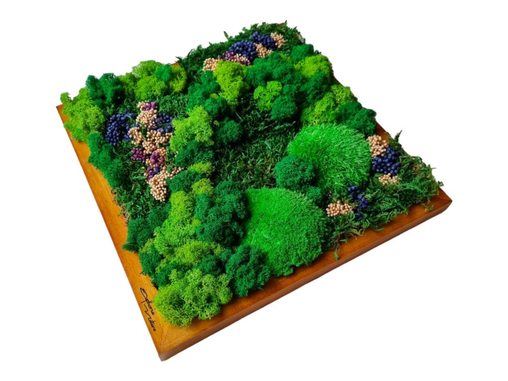 Machový obraz Pezinok, Machová krajinka a lúka plná kvetov Euphoria Natura. Kopčekový mach, plochý mach, lišajníky a stabilizované kvety. Drevený rám 30x30cm, farba dub, #obrazzmachu #pezinok