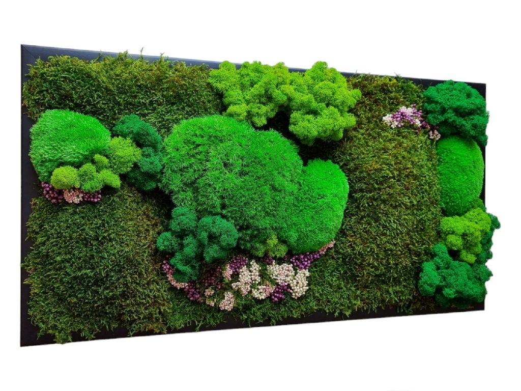 Machový obraz, Machová krajinka a lúka plná kvetov Euphoria Natura. Kopčekový mach, plochý mach, lišajníky a stabilizované kvety. Drevený rám 60x30cm, farba čierna, Senec #obrazzmachu