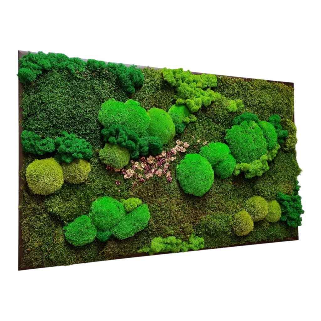 Obraz z machu Brezno, rozmer 100x60cm, tmavohnedý rám, plochý mach, kopčekový mach, lišajníky a stabilizované kvety. Machová krajinka, Tvorca Euphoria Natura.