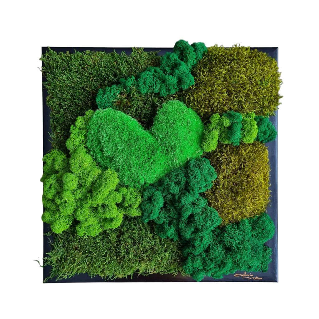 Obraz z machu namiesto kytice na svadbu. Machová krajinka so srdiečkom v zelených tónoch, čierny drevený rám, 33x33cm, Euphoria Natura, Senec