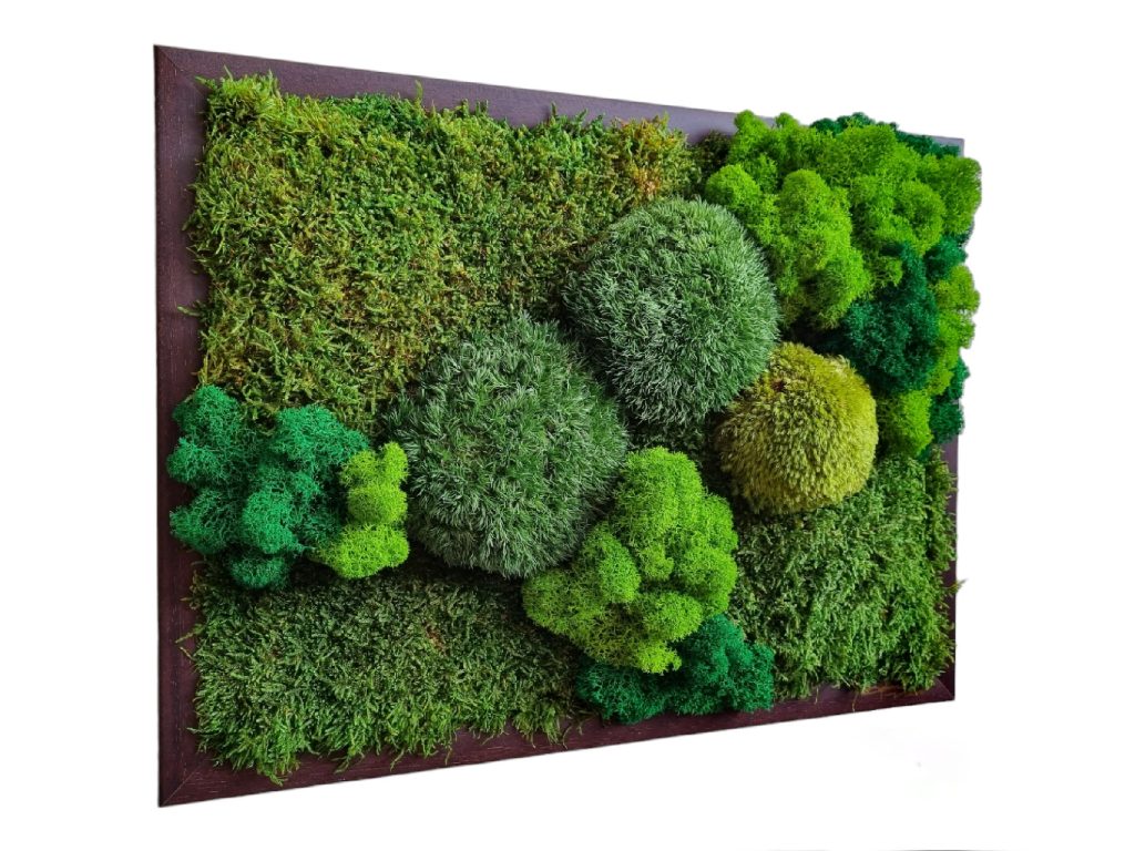 Machový obraz na mieru 40x30cm, Machová krajinka v zelených tónoch, tmavohnedý drevený rám, Euphoria Natura