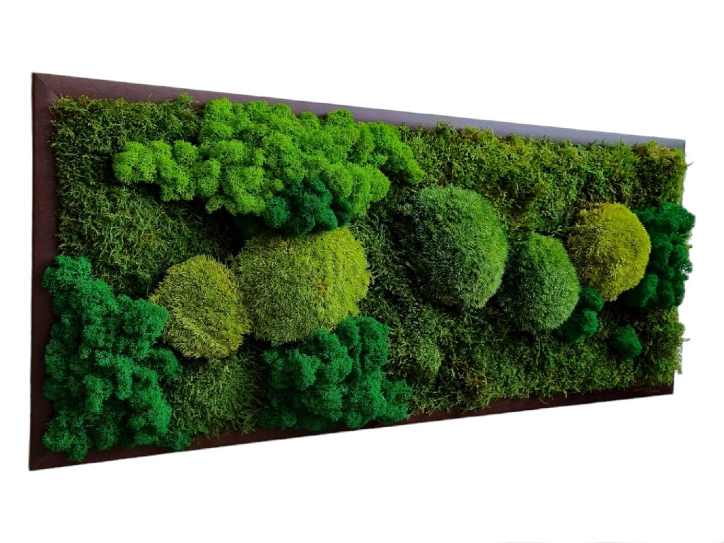 Machový obraz na mieru 70x30cm, Machová krajinka v zelených tónoch, tmavohnedý drevený rám, Euphoria Natura