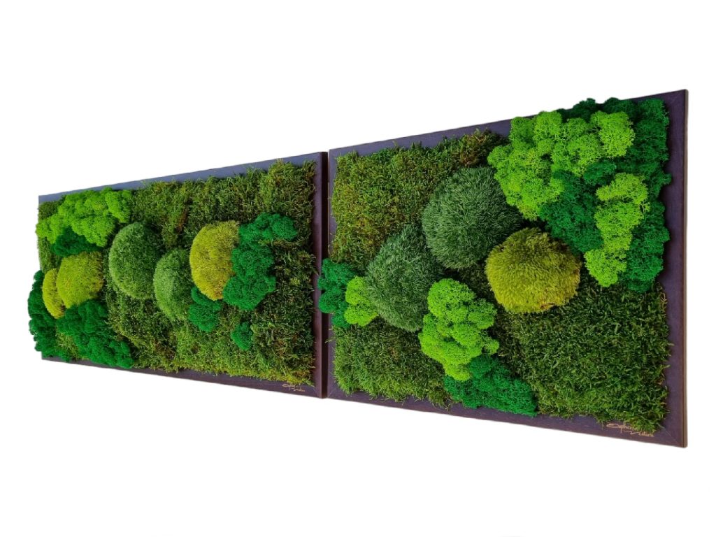 Obraz z machu na mieru Snina, Machová krajinka v zelených tónoch, tmavohnedý drevený rám, 70x30cm a 40x30cm, Euphoria Natura