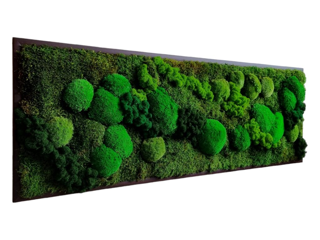 Machový obraz na mieru 120x40cm, Machová krajinka v zelených tónoch, tmavohnedý drevený rám, Euphoria Natura, Trenčín