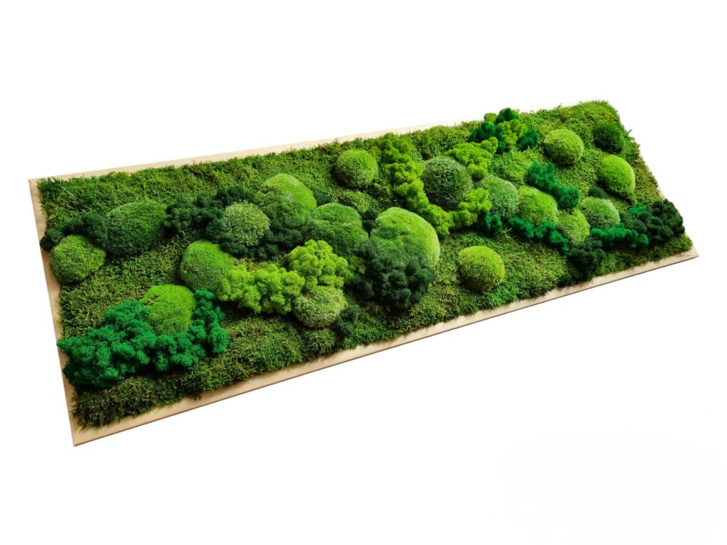 Machový obraz na mieru Orava. Machová krajinka 120x40cm. Stabilizovaný mach. Netradičný darček. Euphoria Natura, Bratislava