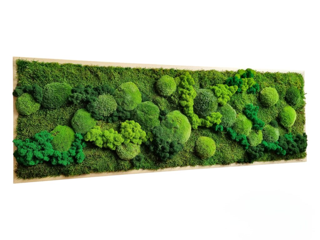 Machový obraz na mieru Orava. Machová krajinka 120x40cm. Stabilizovaný mach. Euphoria Natura, Bratislava