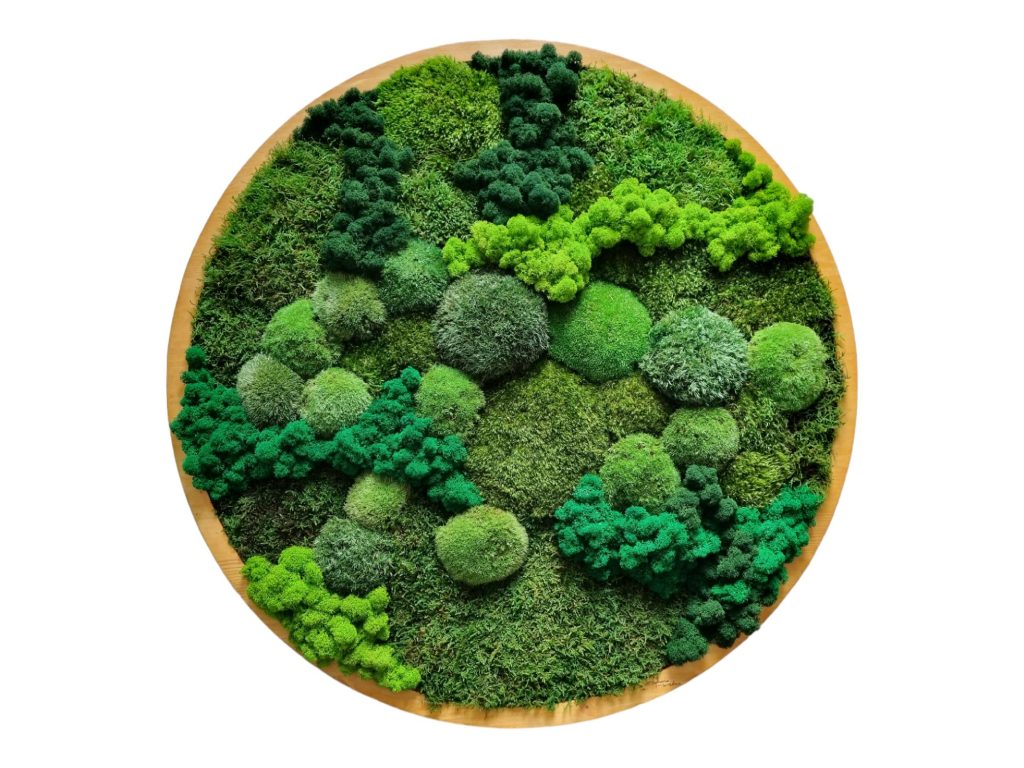 Obraz z machu kruhový, Machová krajinka zelená, priemer 77,5cm. Stabilizovaný mach a lišajníky. Euphoria Natura