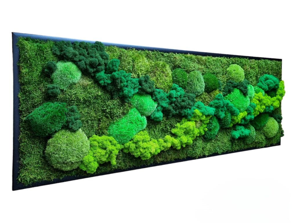 Machový obraz Machová krajinka Cesta životom. Tematický obraz z machu od Euphoria Natura.