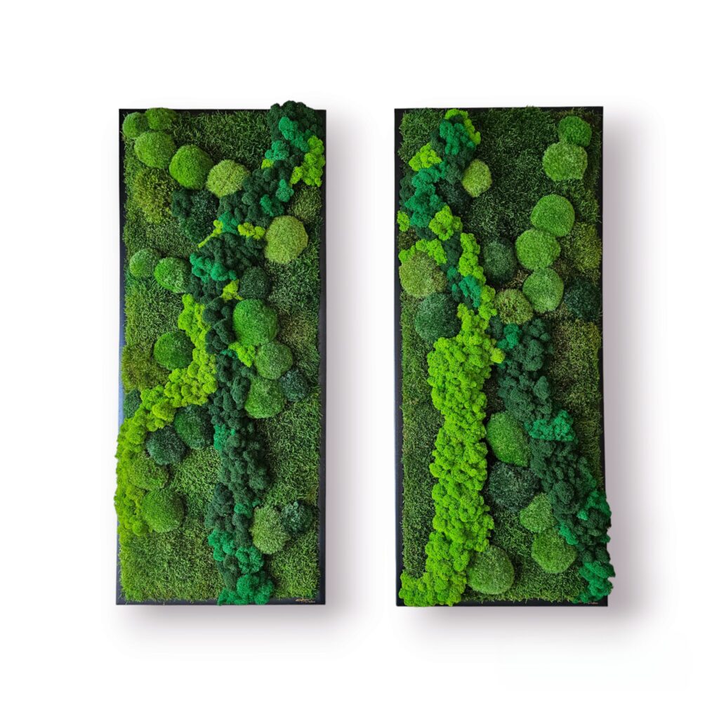 Moderný doplnok do interiéru, to je machový obraz na mieru, na tému Cesta životom od Euphoria Natura.
Machový obraz Ružomberok.