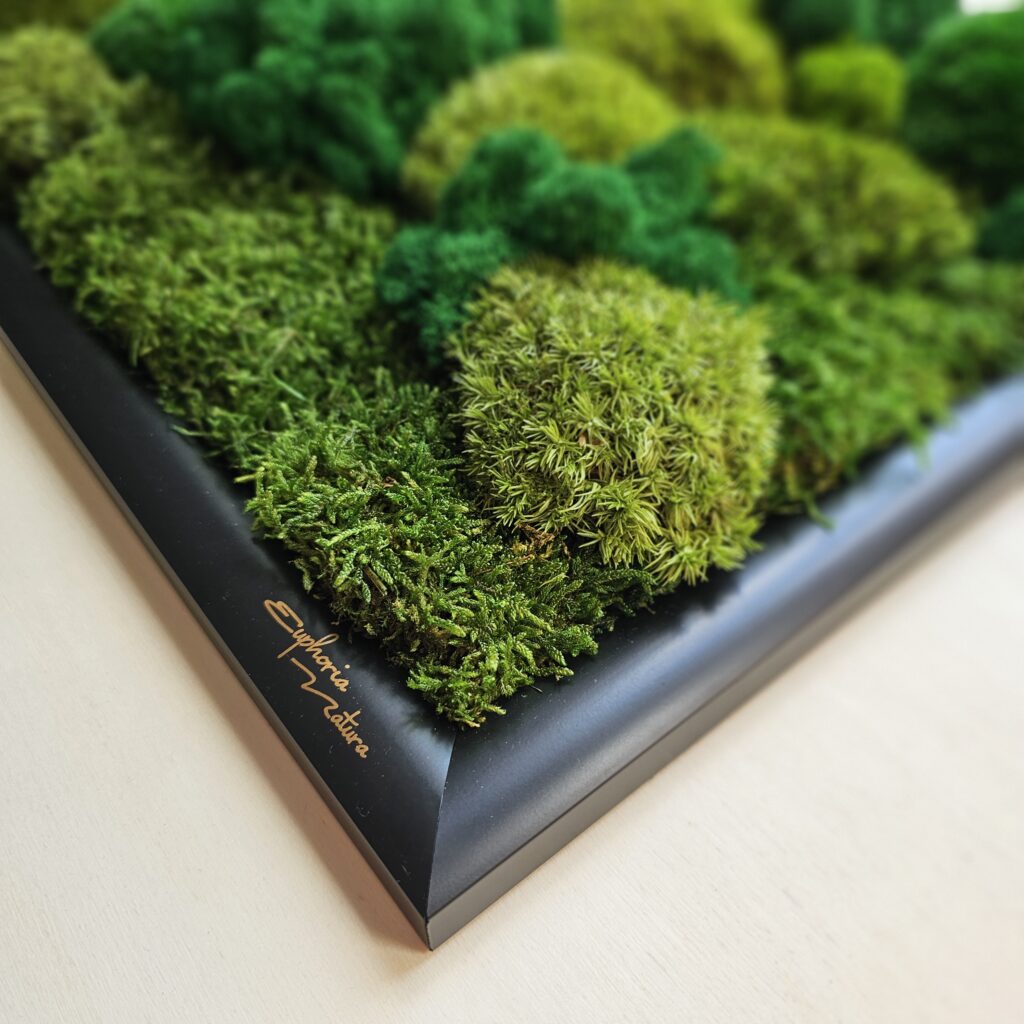 Detail na machovú krajinku od Euphoria Natura. Čierny rám.