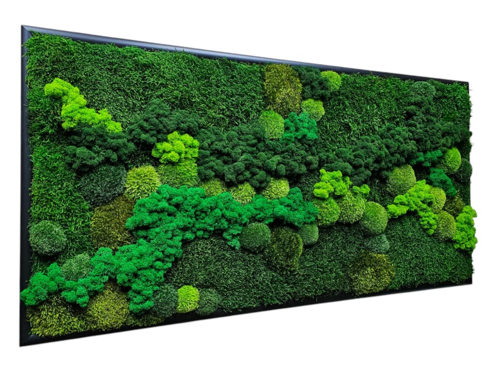 Machový obraz 120x60cm na mieru v zelenom prevedení od Euphoria Natura. 