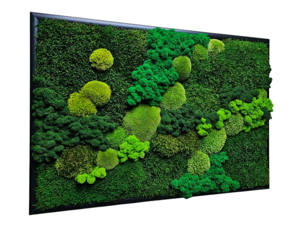 Machový obraz 80x55cm na mieru v zelenom prevedení od Euphoria Natura. 