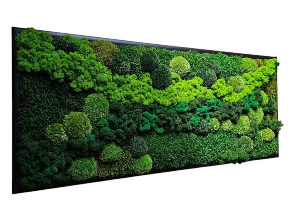 Machová krajinka Cesta životom od Euphoria Natura. Mix machov s 3D efektom.