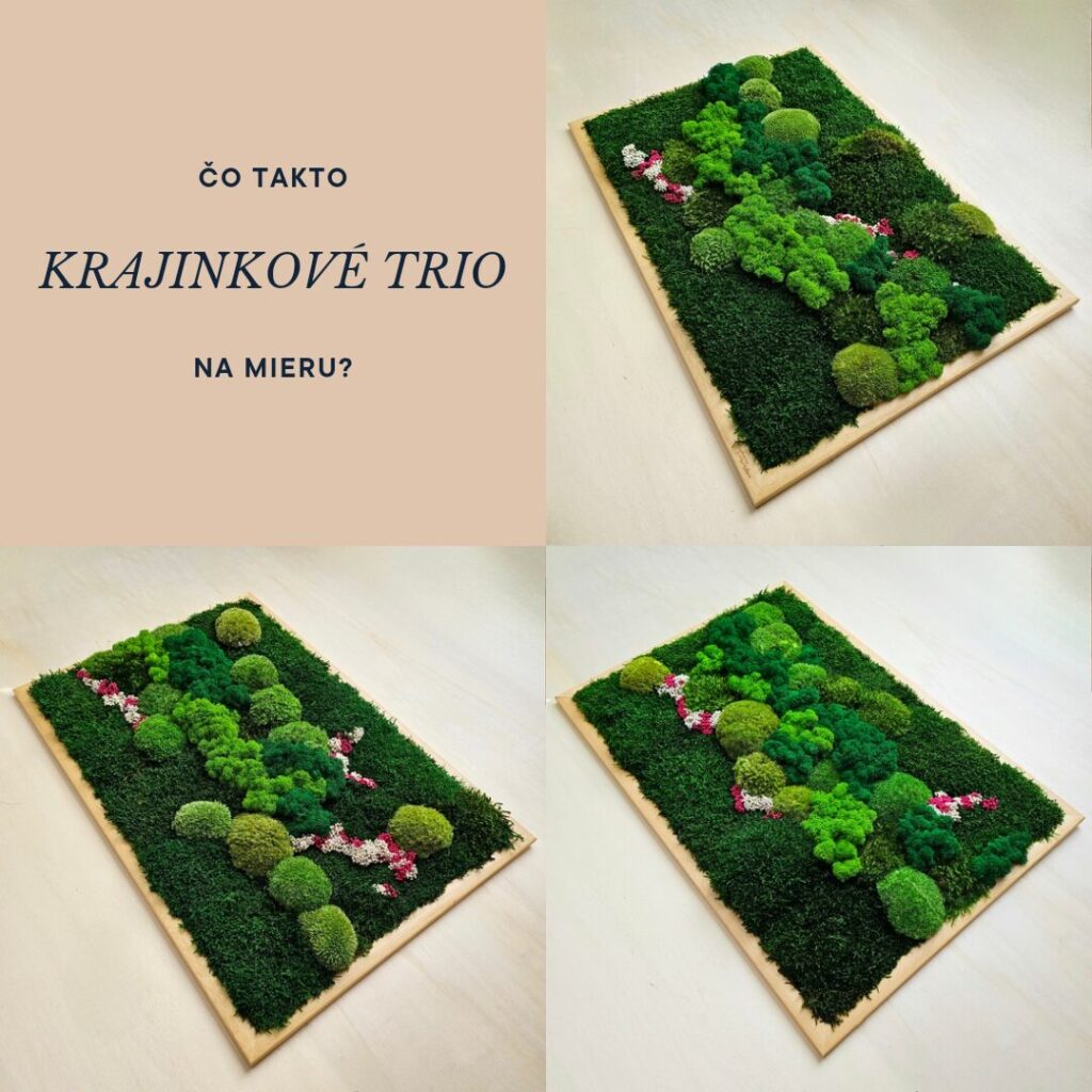 Machové trio od Euphoria Natura s kvetinovým dizajnom.