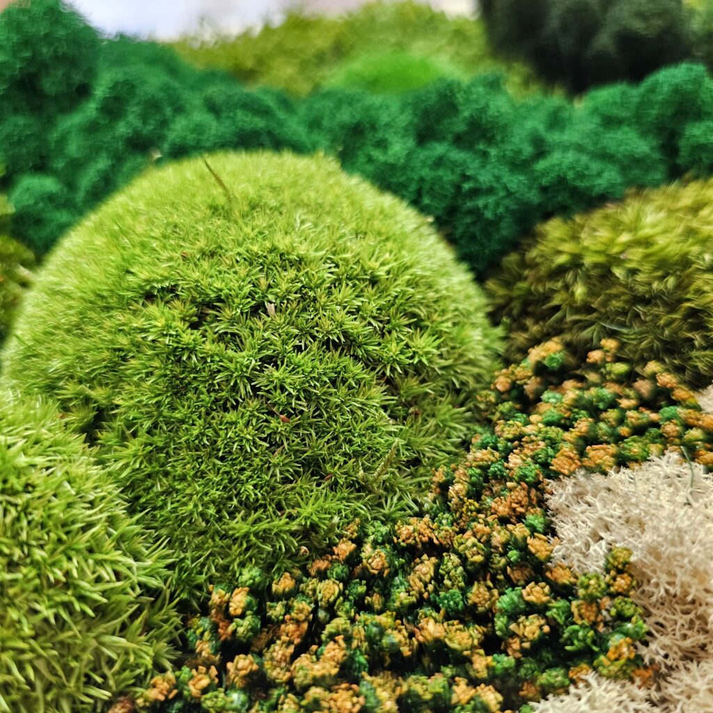 Stabilizované drobné kvietky od Euphoria Natura.
